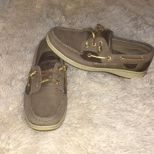 sperry rosefish sparkle